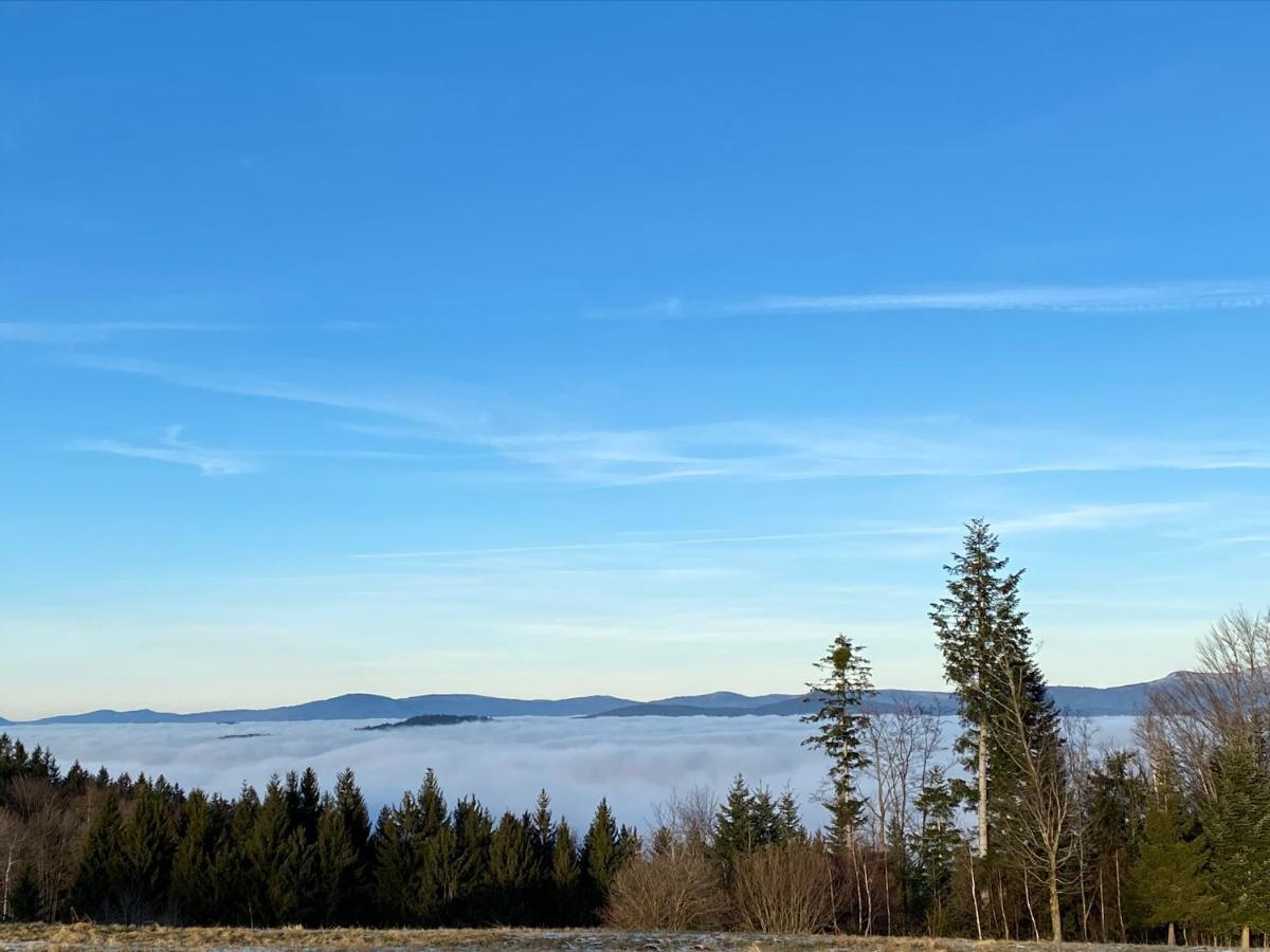 Uriges Top-Apartment Im Bayerischen Wald 3Br! +Netflix Schofweg Ngoại thất bức ảnh